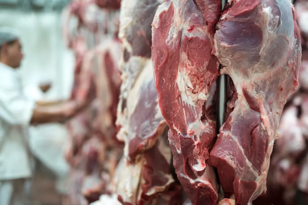 Abattoir